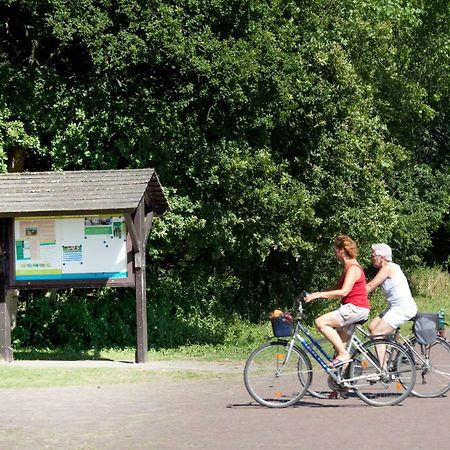 Appartementen - Bungalowpark Mooyeveld - Uniek Gelegen In De Duinen! Egmond-Binnen Εξωτερικό φωτογραφία