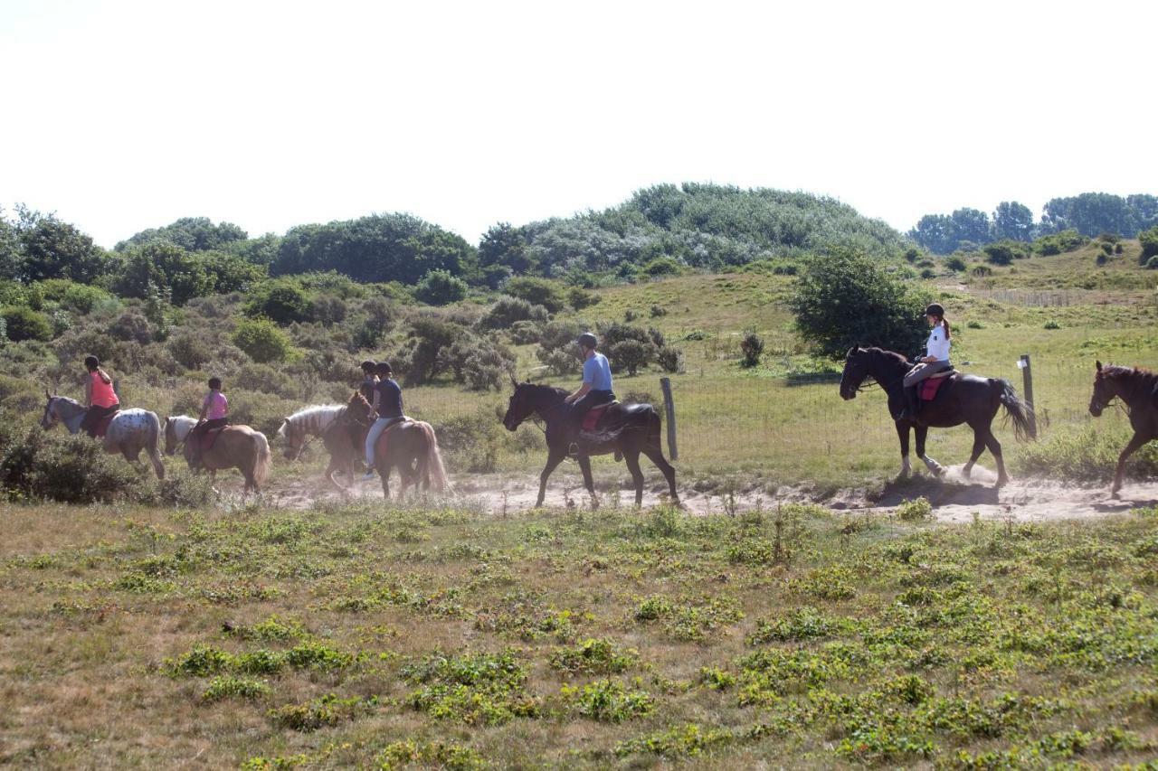 Appartementen - Bungalowpark Mooyeveld - Uniek Gelegen In De Duinen! Egmond-Binnen Εξωτερικό φωτογραφία