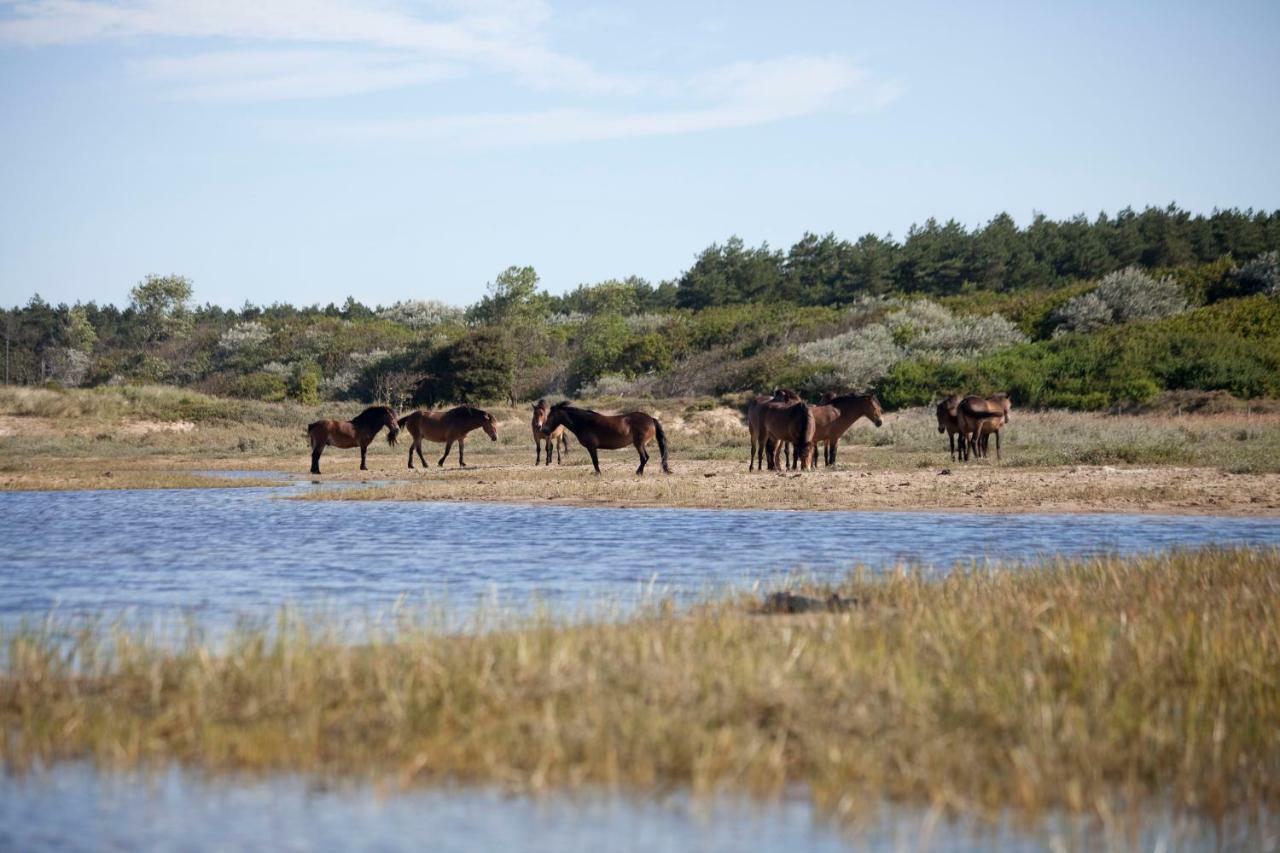 Appartementen - Bungalowpark Mooyeveld - Uniek Gelegen In De Duinen! Egmond-Binnen Εξωτερικό φωτογραφία